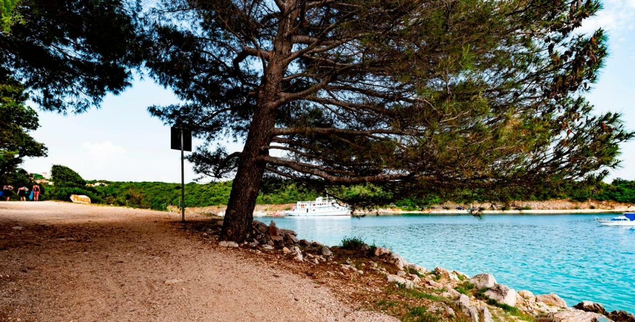 Lavanda Apartments&Studios Pinezići エクステリア 写真